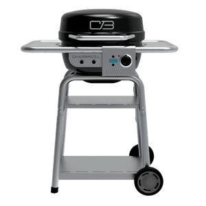 Portable gas grill with black lid, silver frame, side shelves, control knob, and wheels for easy mobility.